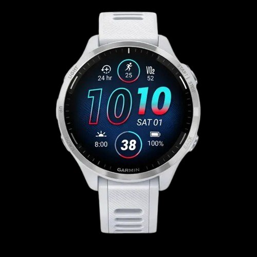 Garmin